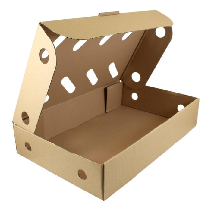 10001-800x800 10001-800x800